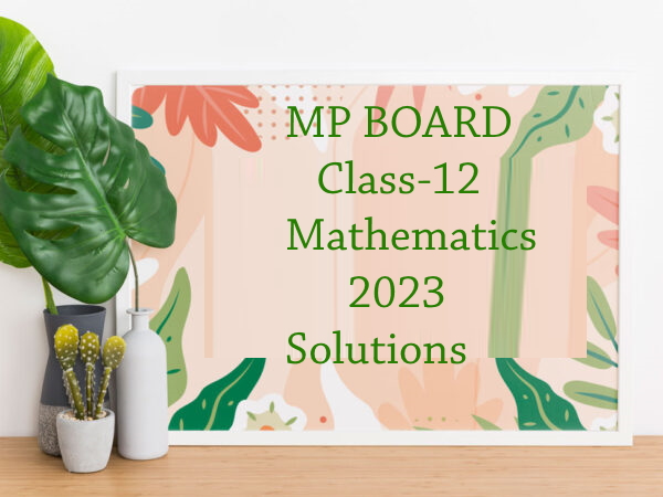 mp board class 12 mathematics papers 2023 solutions PDF available only 10Rs
